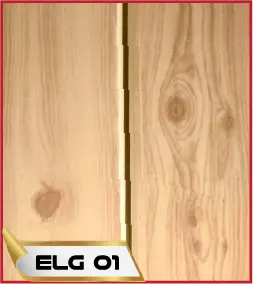 ELG 01