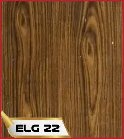 ELG 22