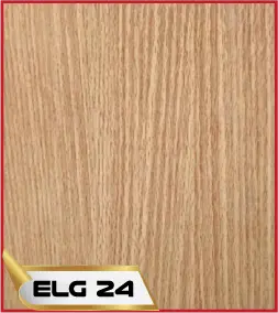 ELG 24