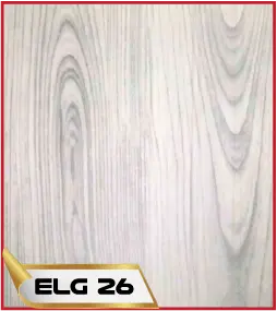 ELG 26