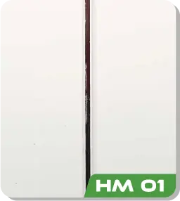 HM 01