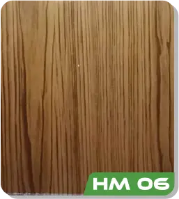HM 06