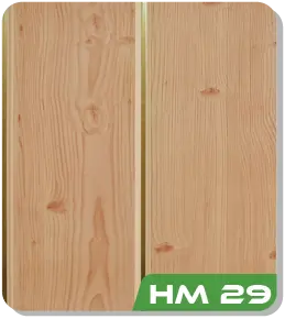 HM 29