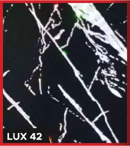 LUX 42